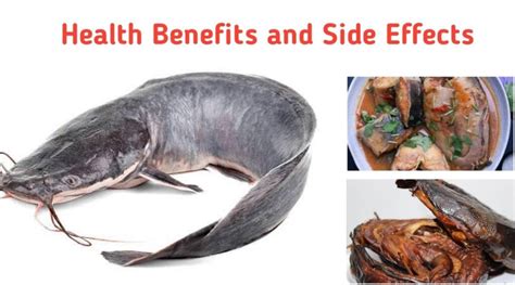 health benefits of eating catfish.